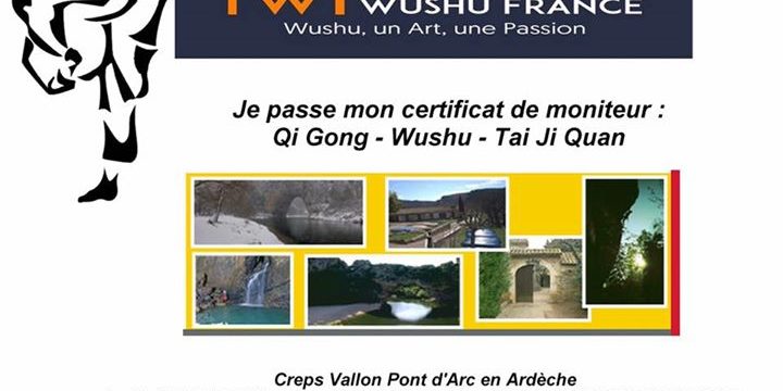 FWF - Fédération Wushu France added a new photo.