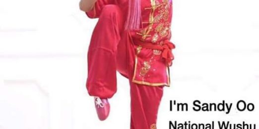 FWF - Fédération Wushu France added a new photo.