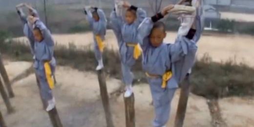 Wushu Sanda