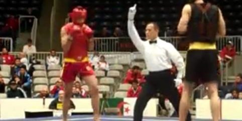 Wushu Sanda