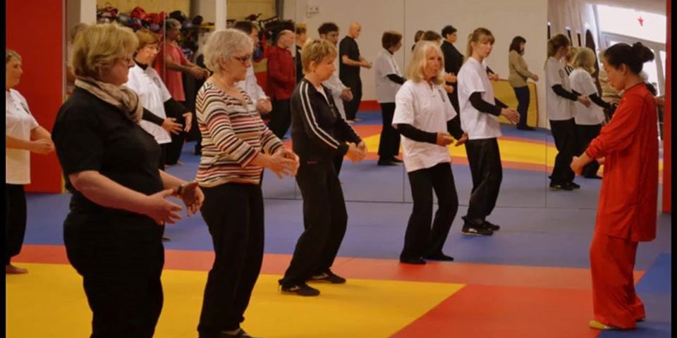 Federation wushu France  Ligue Occitanie