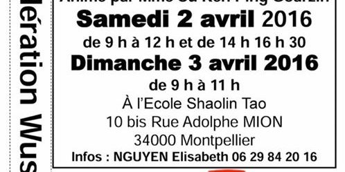 FWF - Fédération Wushu France added a new photo.