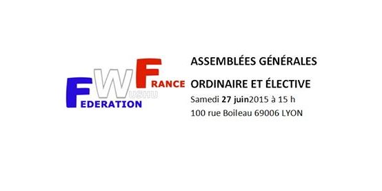 FWF - Fédération Wushu France updated their cover photo.