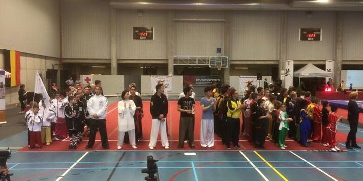 FWF - Fédération Wushu France added a new photo.