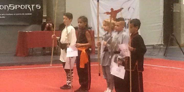 FWF - Fédération Wushu France added a new photo.