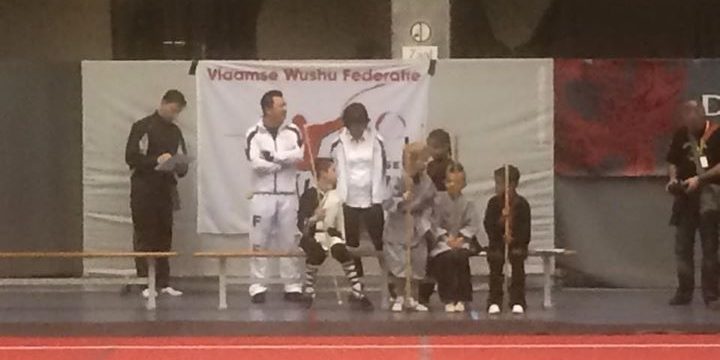 FWF - Fédération Wushu France added a new photo.
