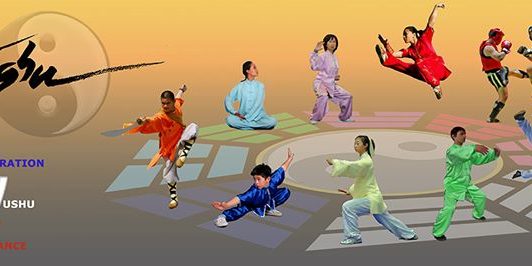 FWF - Fédération Wushu France updated their cover photo.