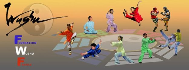 FWF - Fédération Wushu France updated their cover photo.