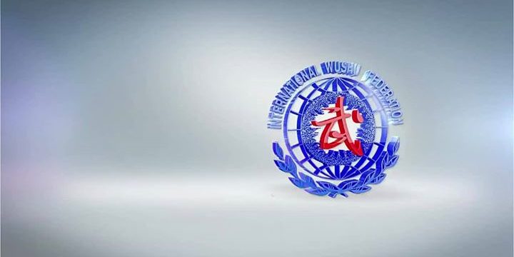 Wushu Sport