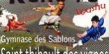 FWF - Fédération Wushu France added a new photo.