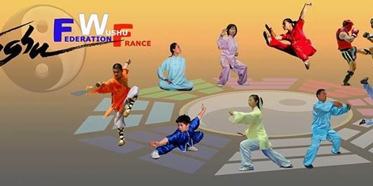 FWF - Fédération Wushu France updated their cover photo.