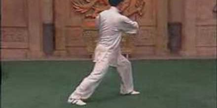 Chen Zhenglei 18 form