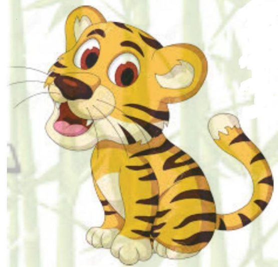 
Cliquer pour choisir  si les tigres sont 
AVENTUREUX
ou
INTREPIDES