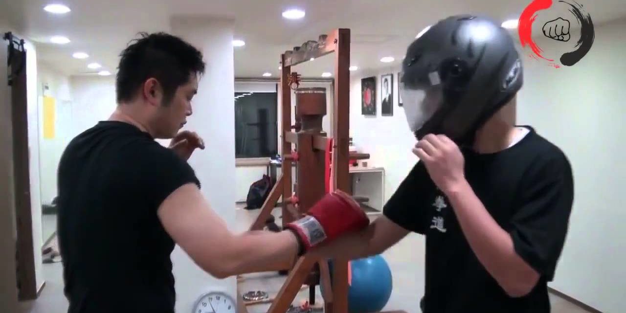 DK Yoo Systema Demonstration , Systema Korea Training Highlight