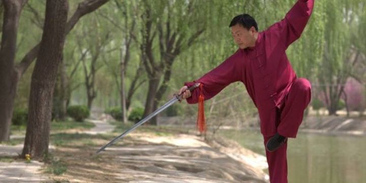FWF - Fédération Wushu France shared Institut Français de Tai Ji Zhang Dongwu - ...