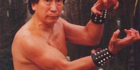 Grand Master ChiuChiLing,10e Duan référent FWF pour le style Hung Gar