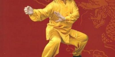 Grand Master Doc Fai Wong référent FWF pour le style Choy Lee Fut