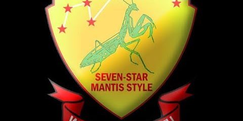 Grandmaster LEE KAM WING, The Mantis King