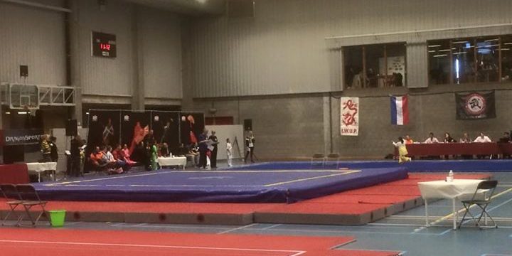 Open de Flandres de Wushu