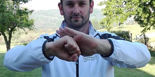 Paul Sniady ,5e Duan Taiji Quan Style Chen,disciple du grand Maître Zhang Dongwu