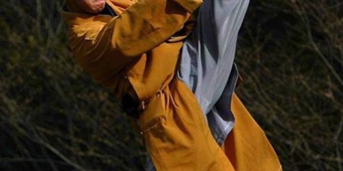 Shaolin Quan ( Le poing de Shaolin )