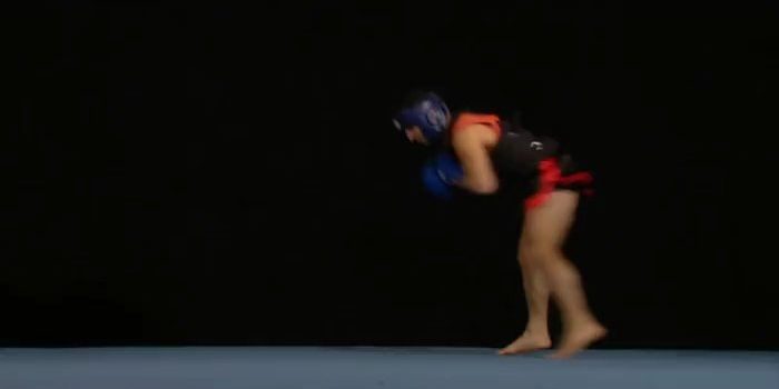 Shuai Chiao / Baoding Sanshou Kuai Jiao / Shuai Jiao
