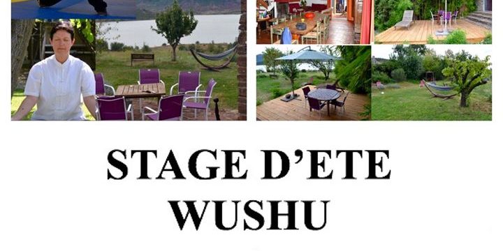 Stage D'été Wushu et Médecine Traditionnelle Chinoise du 04 au 11 juillet ,encad...