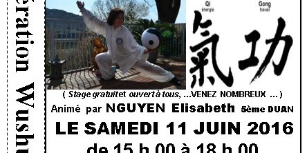 Stage gratuit de Qi Cong Ball à Lyon - Masterfight