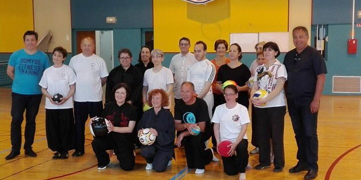 Stage gratuit de Qi Gong Ball,dirigé par Elisabeth Nguyen ,5ème Duan Neigong .Tr...
