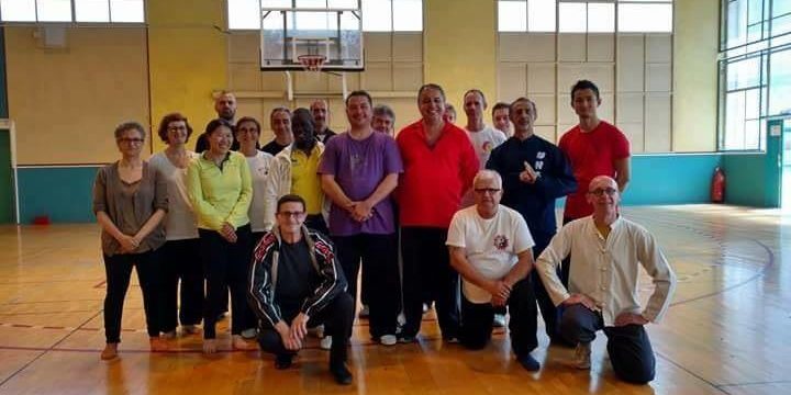 Stage Taiji Quan style ,dirigé par David Florentin ,disciple de Maître Wen Xi We...
