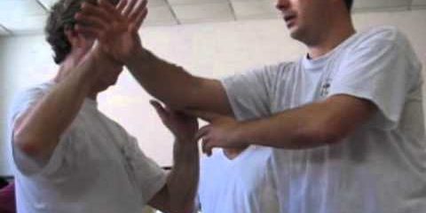 Taiji Quan (Taichi Chuan) style Chen : Exercices de Tuishou