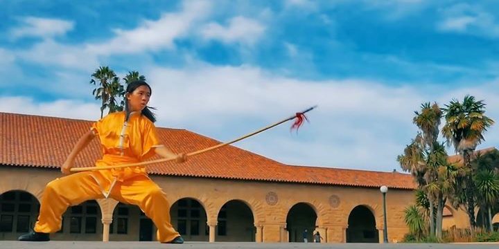 The Art Of Wushu
