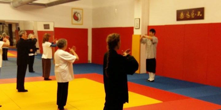 Top départ!  Stage qi gong des 24 energies  avec Me Zhang Aijun à Montpellier  o...