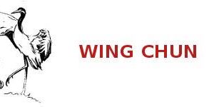 Wing Chun Chuan ou poing du printemps radieux
mannequinWing Chun Chuan ou poing ...