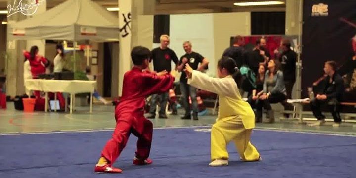 Wushu Sport