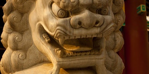 Yi-King et arts martiaux : Les animaux du Bagua