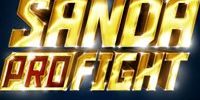 Sanda Profight