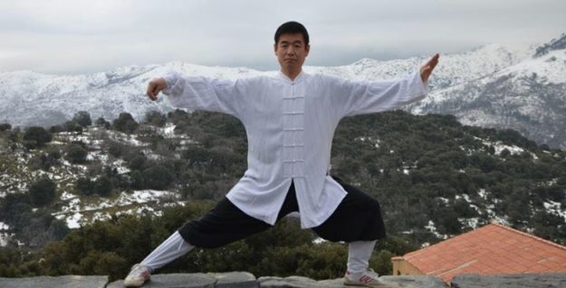 J’ai le plaisir de vous annoncer la venue de Maître Zhang Ai Jun,en qualité d’ex...