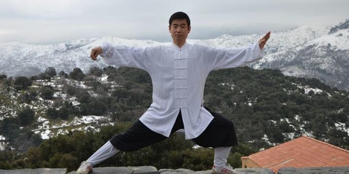 J’ai le plaisir de vous annoncer la venue de Maître Zhang Ai Jun,en qualité d’ex...