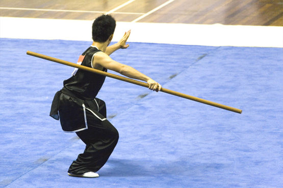 Règlement national des grades fédéraux - Fédération Wushu France