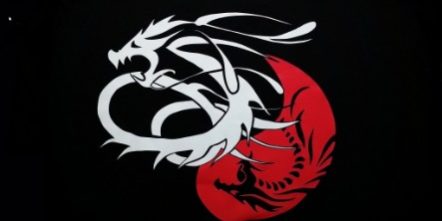 Association Dragons Bussy | Kung Fu, Tai Chi Chuan et Qi Gong
