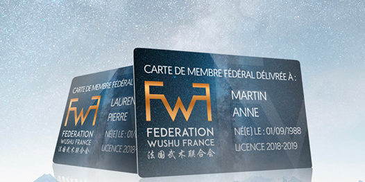FWF - Fédération Wushu France - Tai ji Quan, Shaolin Quan, Qi Gong