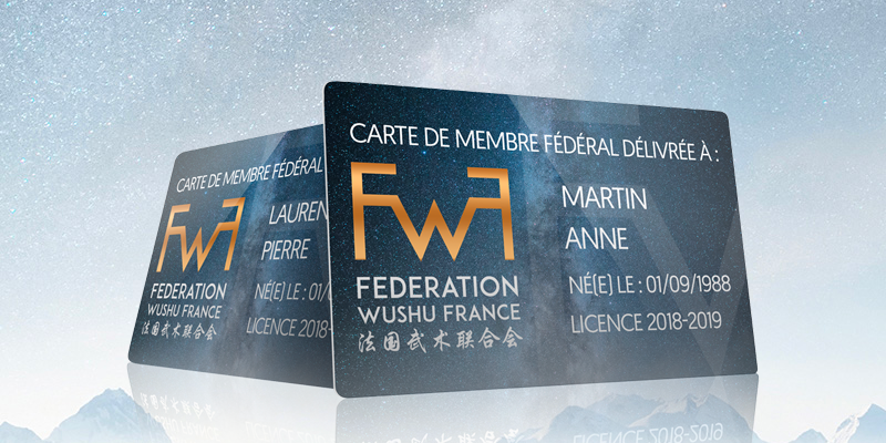 FWF - Fédération Wushu France - Tai ji Quan, Shaolin Quan, Qi Gong