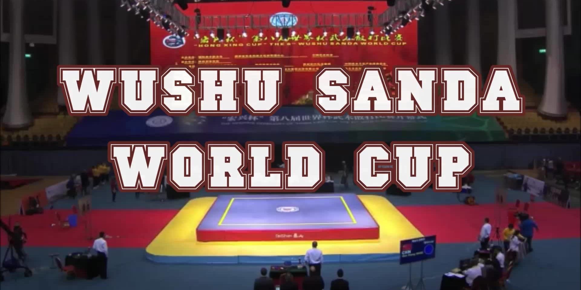 Regarder Wushu Sanda world cup in China