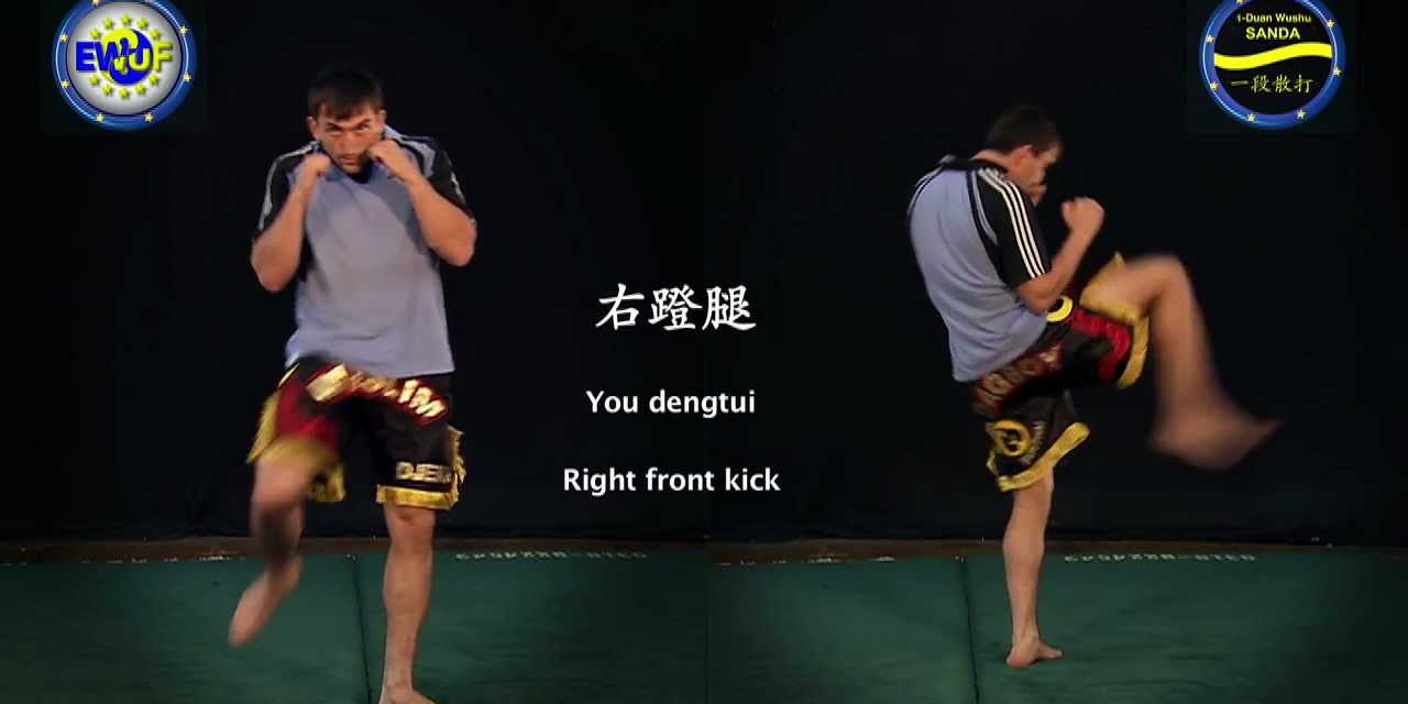 1-st duan_sanda_ewufH264.mov