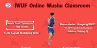 Regarder Sanda Basic Technique - Fist Basics