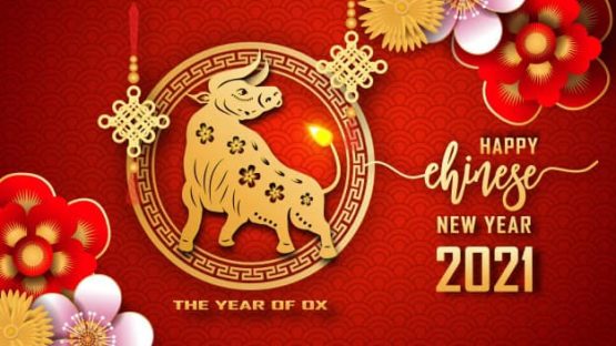 Bonne année du Buffle 新年快乐
