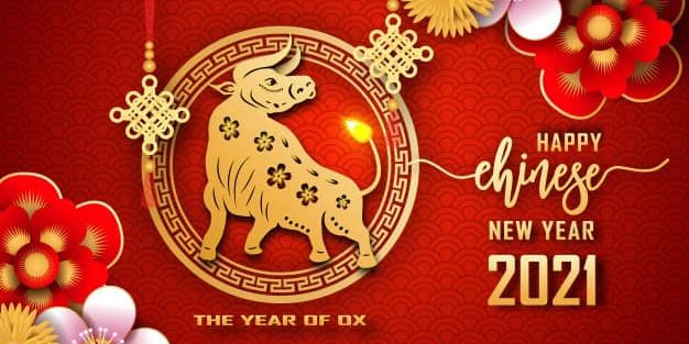 Bonne année du Buffle 新年快乐
