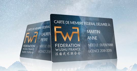 Le meeting Wu De 武德大会 - Fédération Wushu France